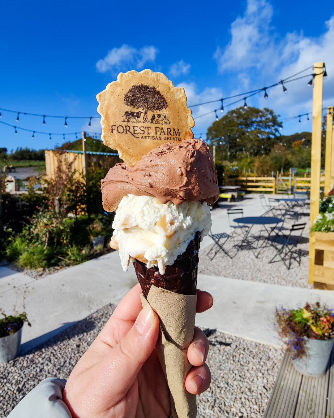 I've cream in the sun ta Forest Farm Dairy 
