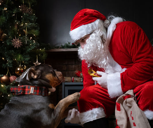 Santa Paws at The Firepit by Smoke and Soul
